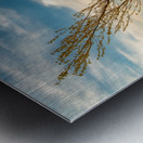 Point Betsie Lighthouse On The Beach Metal print