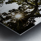 Iowa Barns Metal print