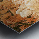 Bryce Canyon National Park Metal print