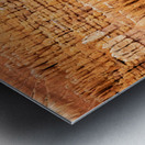 Hoodoo Nation Metal print