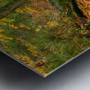 Streams of Michigan Metal print