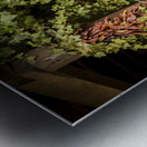 Santa Fe Chili Peppers Metal print