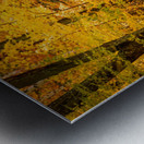 Road to Fall Metal print