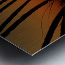 Lake Michigan Sunset Metal print