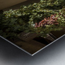 Sante Fe New Mexico Chili Peppers Metal print