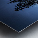 Winter Wonderland on Superior Metal print