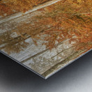 Fall Nature In Door County Wisconsin Metal print