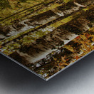 Wisconsin Fall Walk Metal print