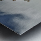 Lake Michigan Shore Line Wisconsin Metal print