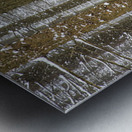 Winter Pine Forest Metal print