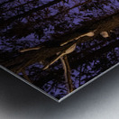 Minnesota Northwoods Winter Camping Metal print