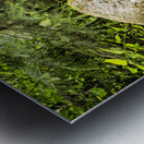 Boulder Car in Nature Metal print