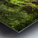 Car with Boulder in Nature Metal print