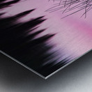 A Weedy Lake Abstract Metal print