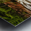 The Mighty Amnicon Rages Metal print