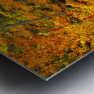 Fall in Munising Michigan Metal print