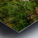 Presque Isle River Michigan Fall Metal print