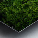 Tennessee Farm Country Metal print