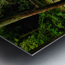 Smoky Mountain Stream Tennessee Metal print