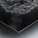 Weathered Juniper in Arches National Park Metal print