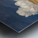 Zion Skies Metal print