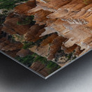 Bryce Canyon National Park Funnel Metal print