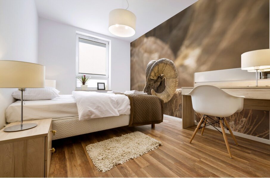 Bighorn Sheep of Badlands Mural print