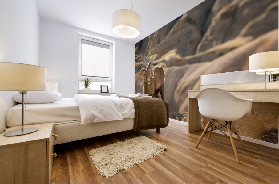 Badlands Bighorn Sheep Mural print