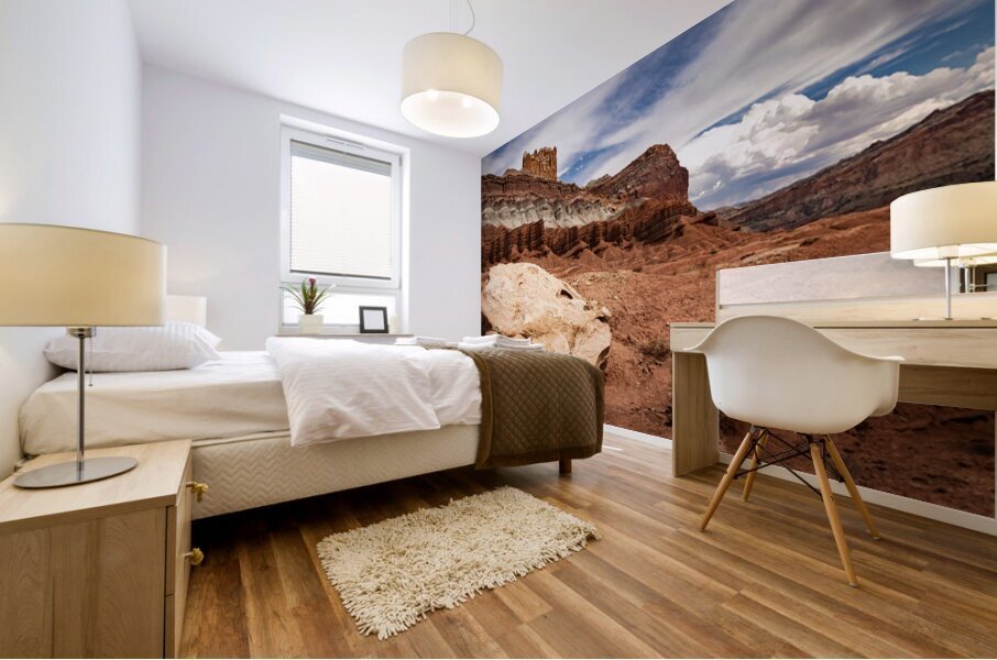 Capitol Reef View Mural print