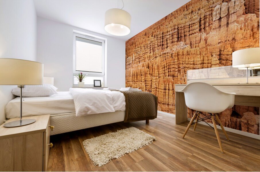 Hoodoo Nation Mural print