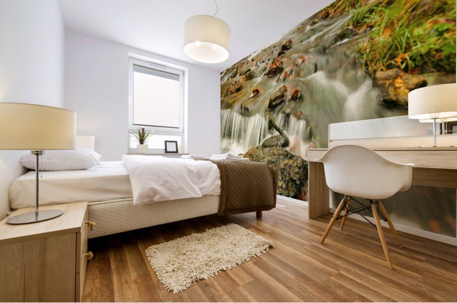 Splendors of Fall Mural print