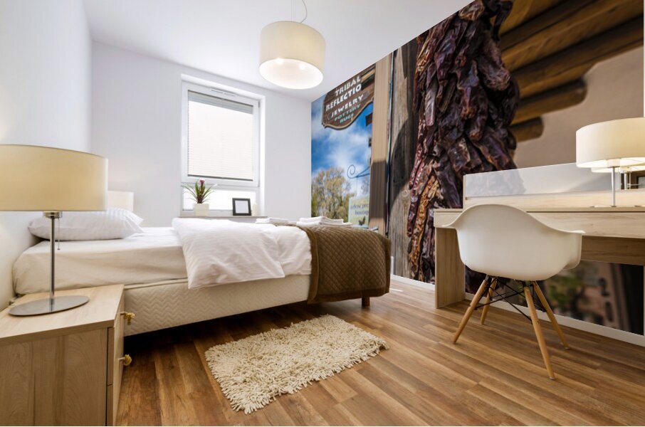 Sante Fe New Mexico Shops Mural print