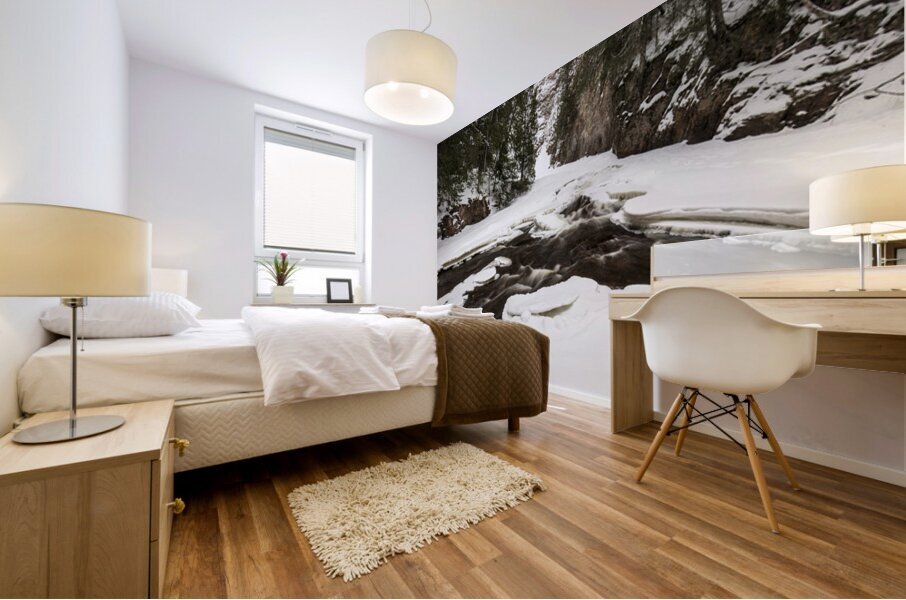 Winter Canyon on River Mural print