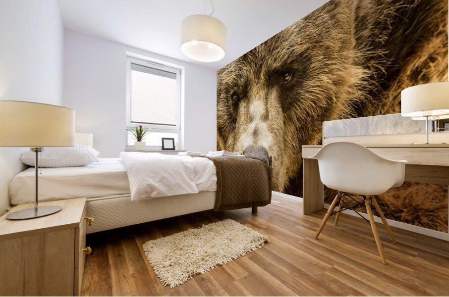 Grizzly Stare Mural print