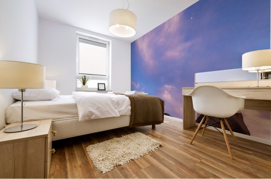 Goblin Valley State Park Sunset Mural print