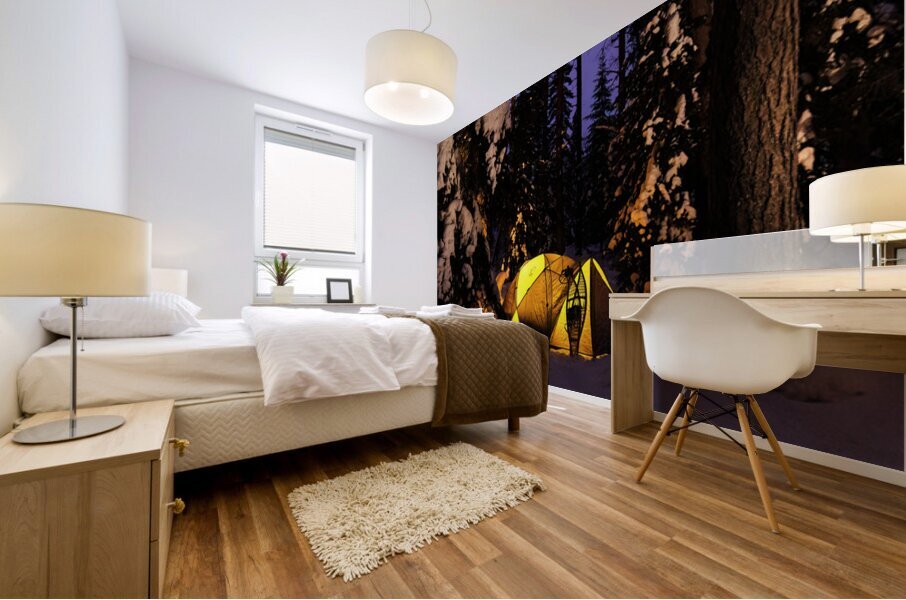 Winter Camping Under the Stars in Minnesota Mural print