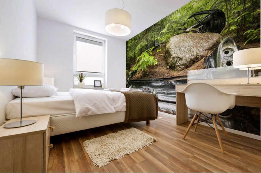 Car with Boulder in Nature Mural print