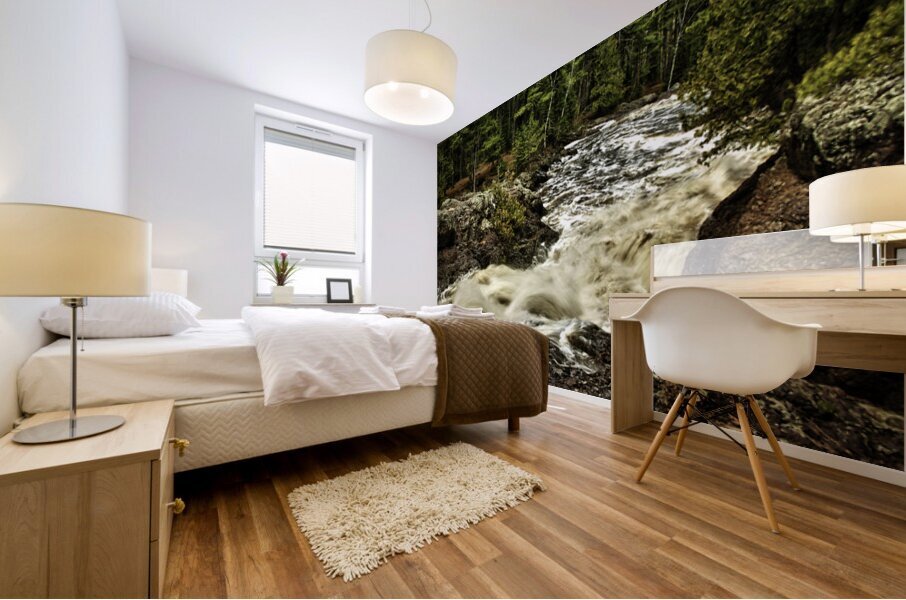 Amnicon River State Park Wisconsin Mural print