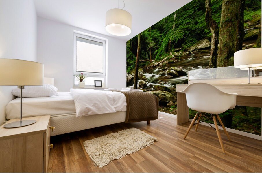 Smoky Mountain Stream Tennessee Mural print