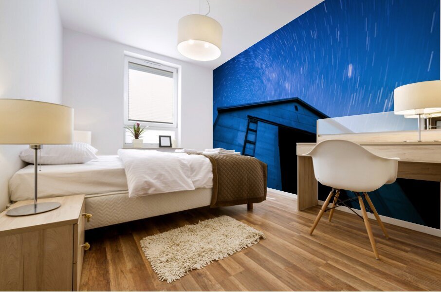 Star Trails over Farm Country Mural print