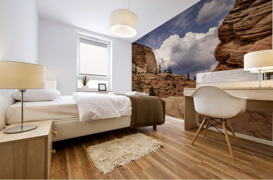 Zion National Park Window to Heaven Mural print