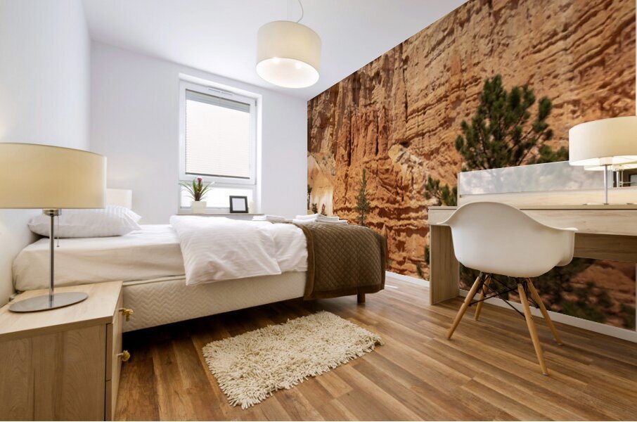 Bryce Canyon National Park Castle Window Mural print