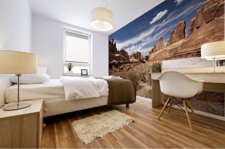 Arches National Park Wall Street Mural print