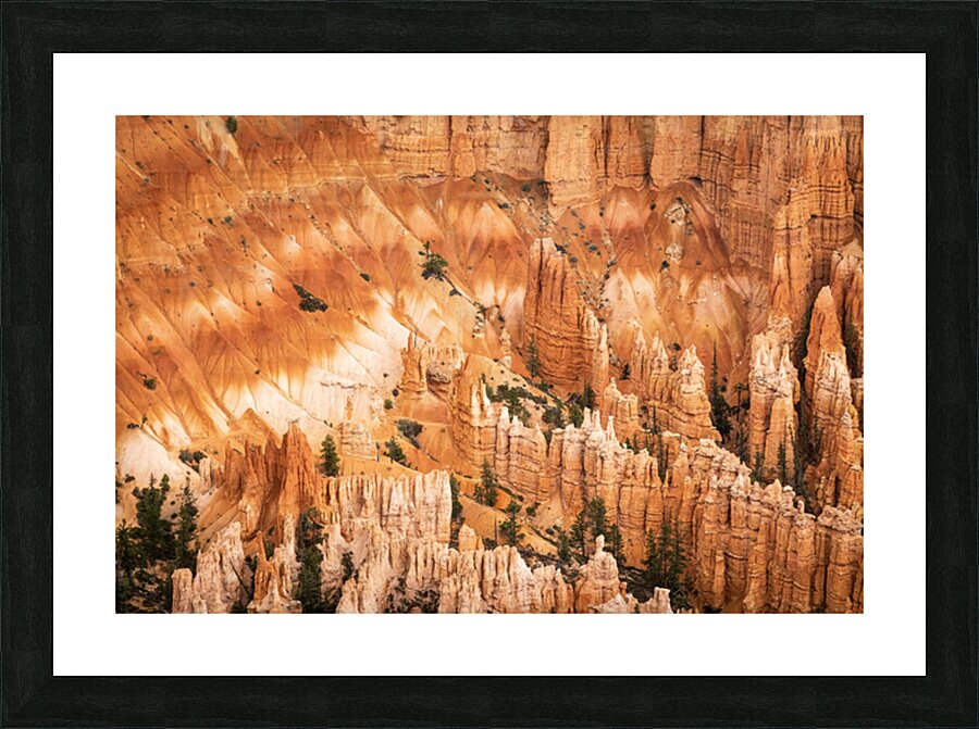 Bryce Canyon Theater Picture Frame print