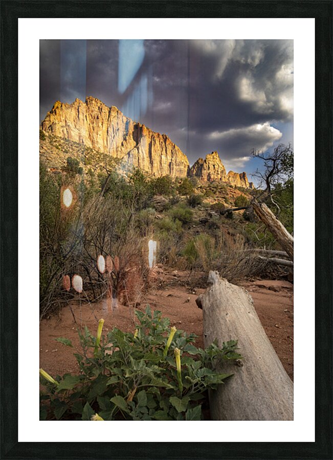 The Watchman of Zion Picture Frame print