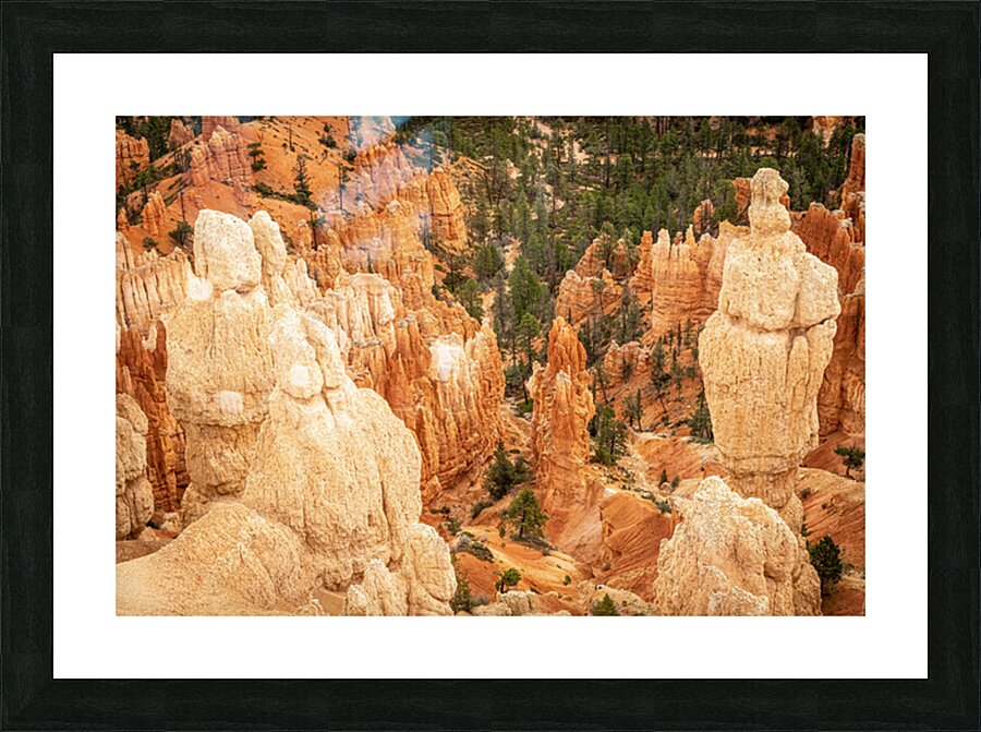 Bryce Canyon National Park Picture Frame print