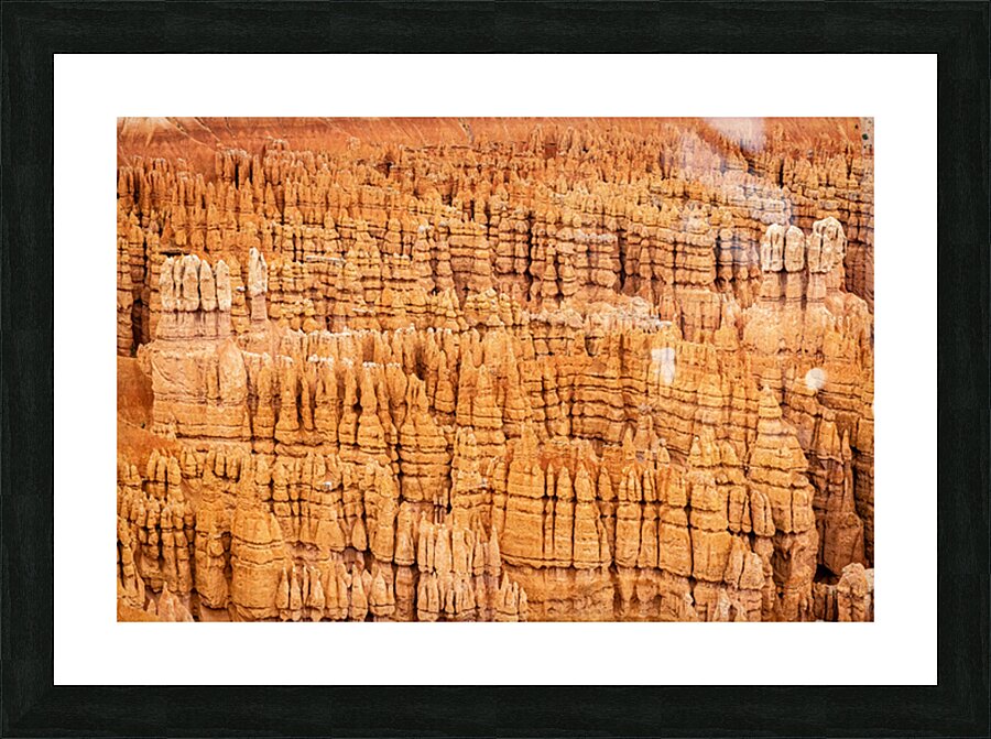 Hoodoo Nation Picture Frame print