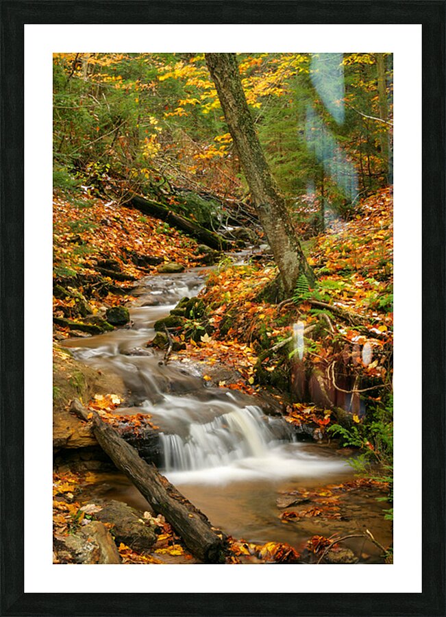 Streams of Michigan Picture Frame print