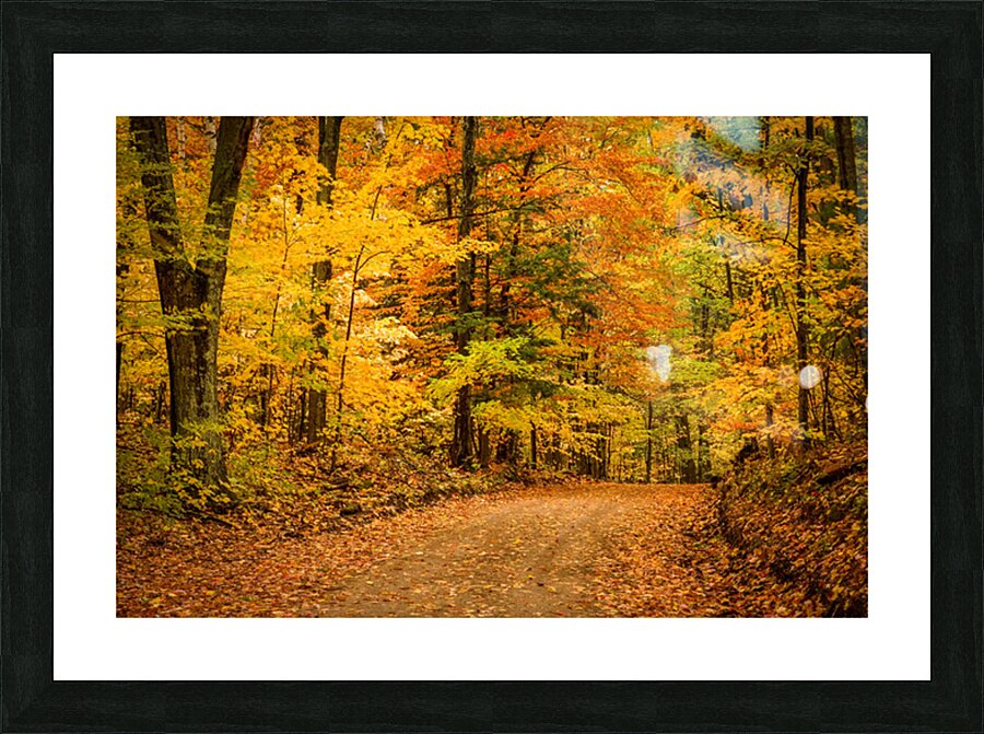 Road to Fall Picture Frame print