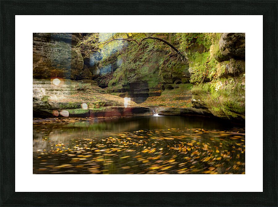 Fall In the Canyon Picture Frame print